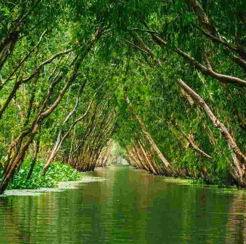 Mekong Delta Farm Tours